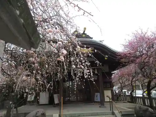 牛天神北野神社の本殿・本堂