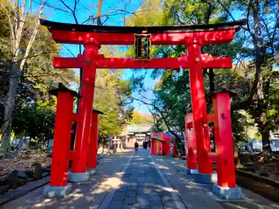 峯ヶ岡八幡神社(埼玉県)