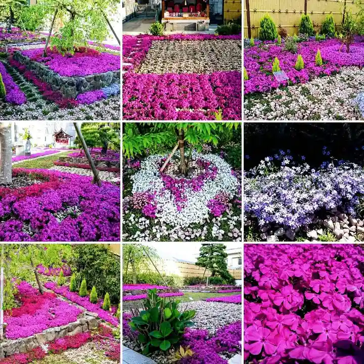 寿量山 速成寺の自然