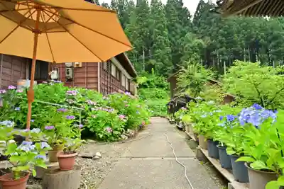 光照寺(新潟県)
