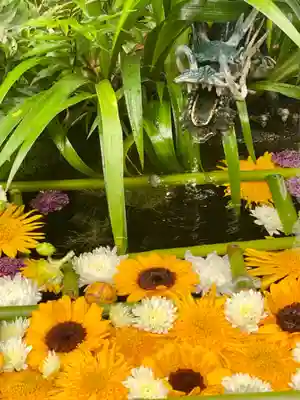 武田神社の手水舎