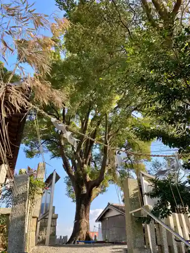 玉田神社の自然