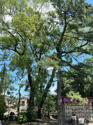 武蔵一宮氷川神社(埼玉県)