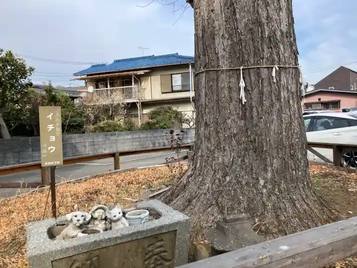 杉山社(上星川鎮守)の{uncategorized: "未分類", other: "その他", undefined: "問題あり", building: "その他建物", grave: "お墓", sacred_gate: "鳥居", guardian: "狛犬", statue: "像", buddha: "仏像", history: "歴史", nature: "自然", garden: "庭園", animal: "動物", pagoda: "塔", temizu: "手水舎", mountain_gate: "山門・神門", sanctuary: "本殿・本堂", subordinate: "末社・摂社", art: "芸術", scenery: "景色", jizo: "地蔵", ema: "絵馬", goshuin: "御朱印", omikuji: "おみくじ", items: "授与品その他", amulet: "お守り", goshuincho: "御朱印帳", eats: "食事", festival: "お祭り", votive_dance: "神楽", shichigosan: "七五三参", wedding: "結婚式", experience: "体験その他", initially: "初詣", around: "周辺", anti_infection: "感染症対策"}