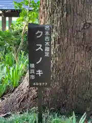 横浜　西方寺(神奈川県)