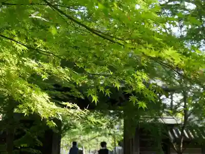 淨眞寺のその他建物