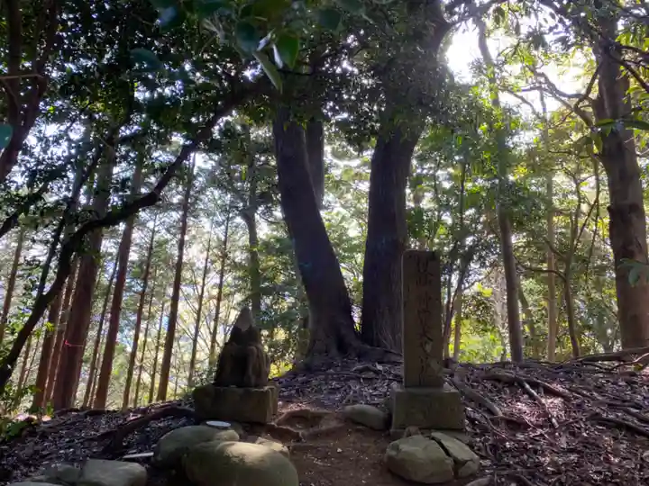 白山神社の自然