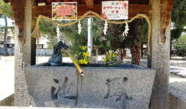 三津厳島神社の手水舎