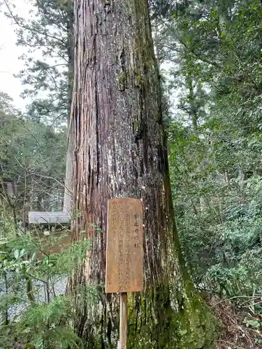 小國神社(静岡県)