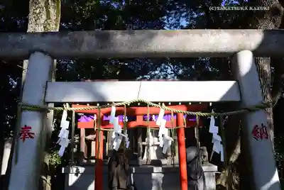 多摩川浅間神社の鳥居