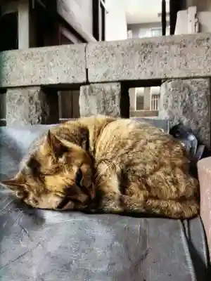 小野照崎神社(東京都)