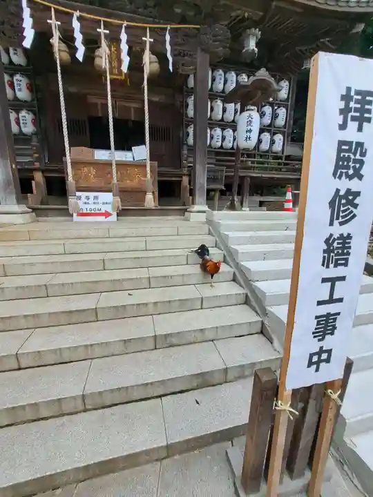 大甕神社(茨城県)