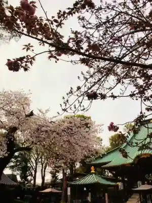 妙法寺(東京都)