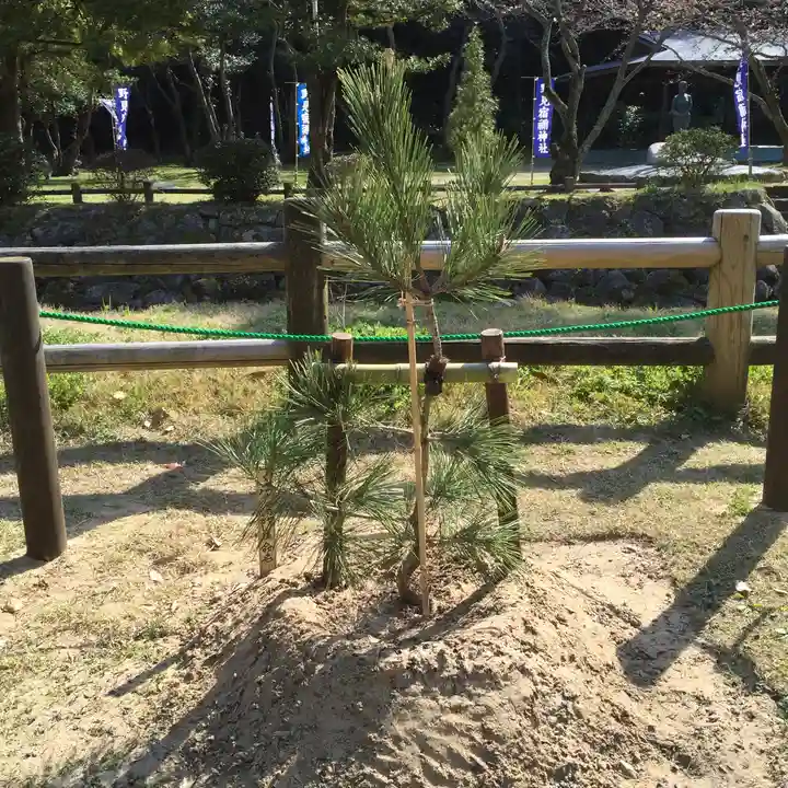 出雲大社の自然