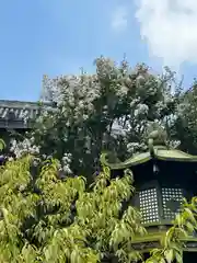 龍雲寺(東京都)