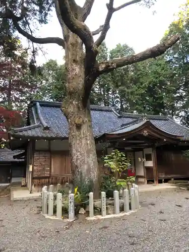 小槻大社の自然