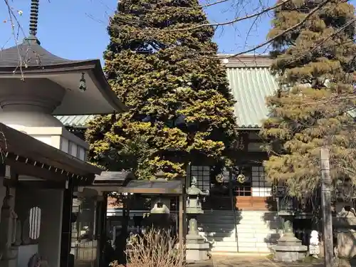 徳蔵寺の本殿・本堂