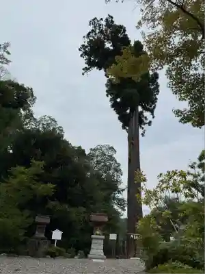 鶴峯八幡宮(千葉県)