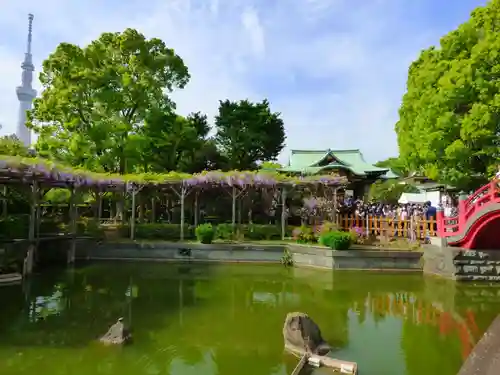 亀戸天神社の景色