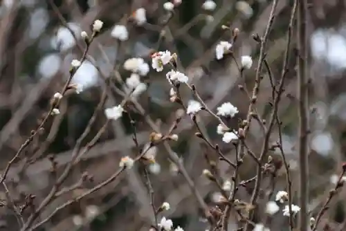 開成山大神宮の庭園