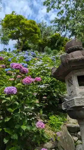 善峯寺(京都府)