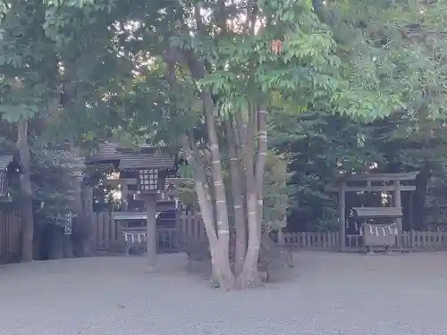 伊勢山皇大神宮の自然