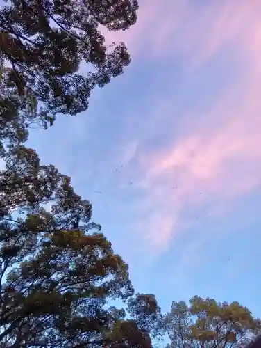 刺田比古神社の自然