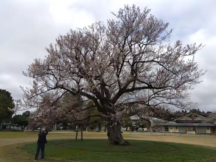 味真野神社(福井県)