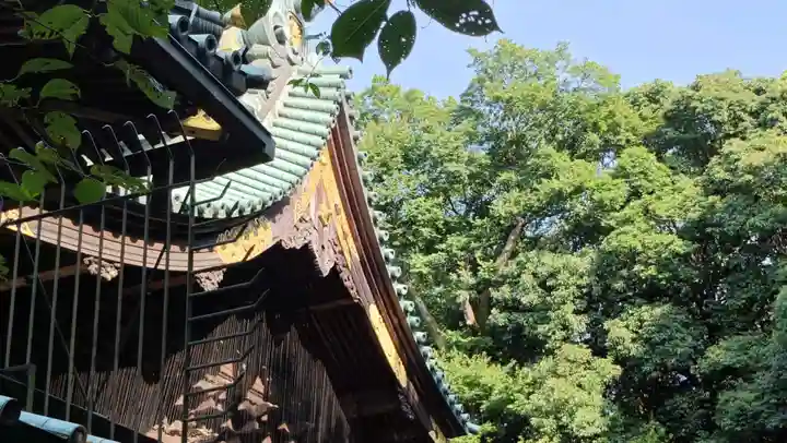 三嶋大社の本殿・本堂