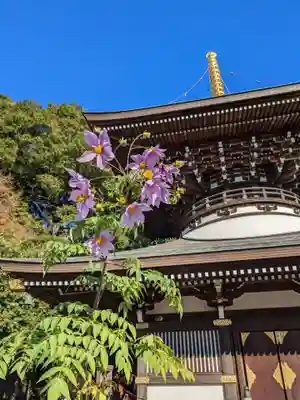 三寳寺(東京都)