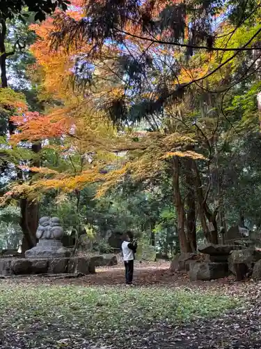 伊和神社(兵庫県)