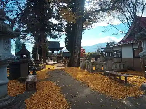 遠照寺の自然