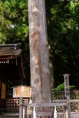 諏訪大社下社秋宮(長野県)