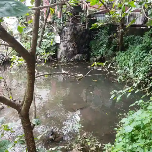 津の守弁財天の自然