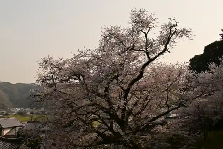 掌禅寺(愛媛県)