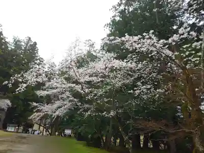 大斎原（熊野本宮大社旧社地）(和歌山県)