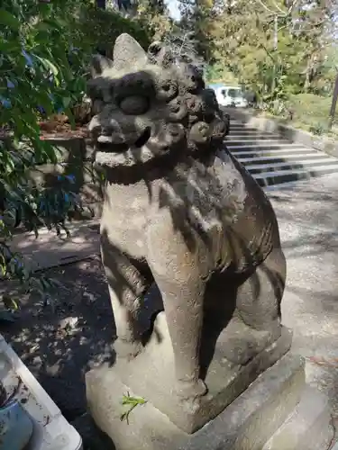 大崎八幡宮の狛犬