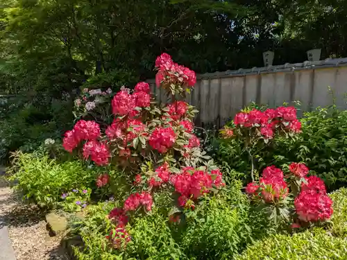 上野東照宮(東京都)