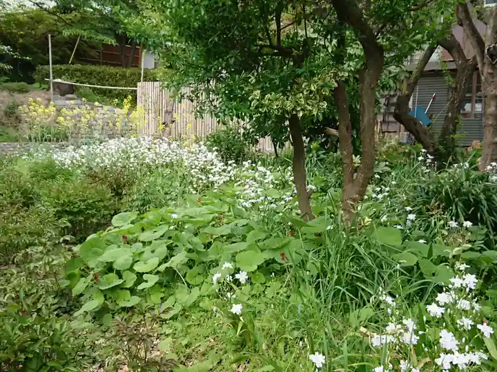 龍寳寺(龍宝寺)(神奈川県)