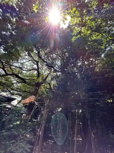 検見川神社(千葉県)