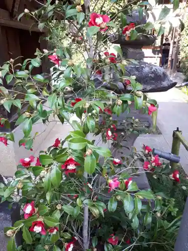 行田八幡神社の庭園