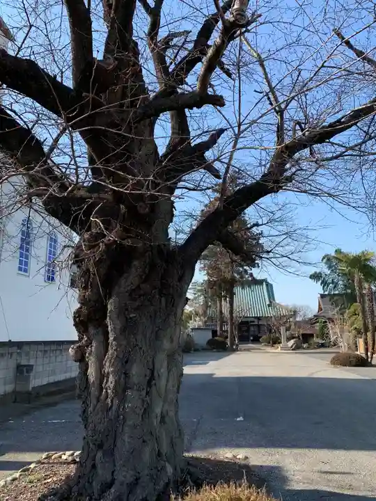 光明寺のその他建物