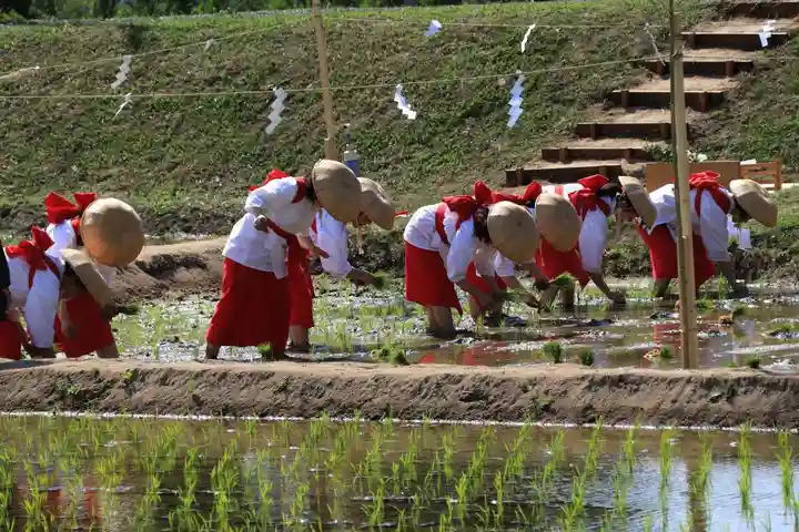 高屋敷稲荷神社のお祭り