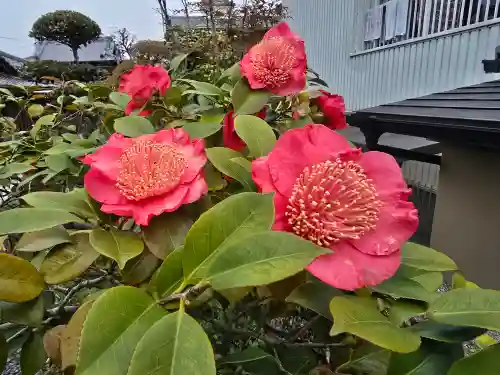 南光寺(和歌山県)