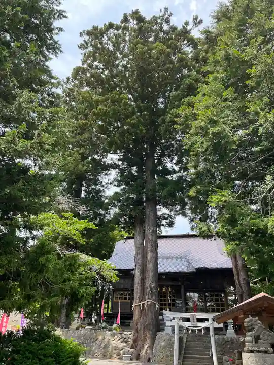 高司神社〜むすびの神の鎮まる社〜の自然