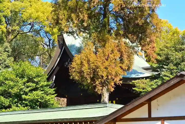 武蔵一宮氷川神社(埼玉県)