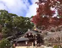 今宮神社の本殿・本堂