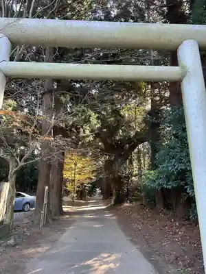 縣神社(千葉県)