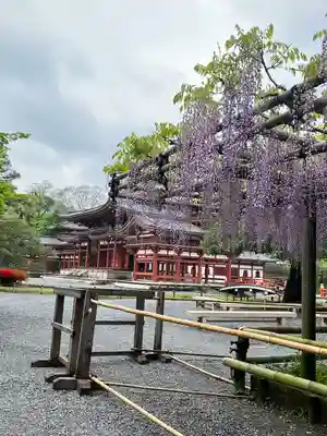 平等院(京都府)