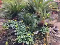 徳満寺(茨城県)